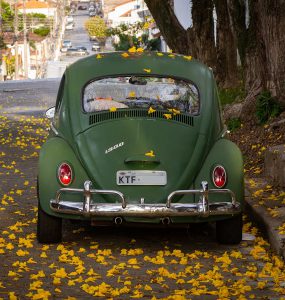 automobil prekriven jesenjim lišćem