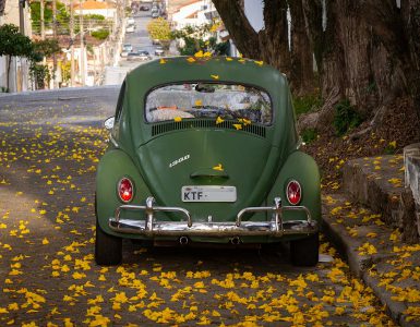 automobil prekriven jesenjim lišćem