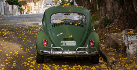 automobil prekriven jesenjim lišćem