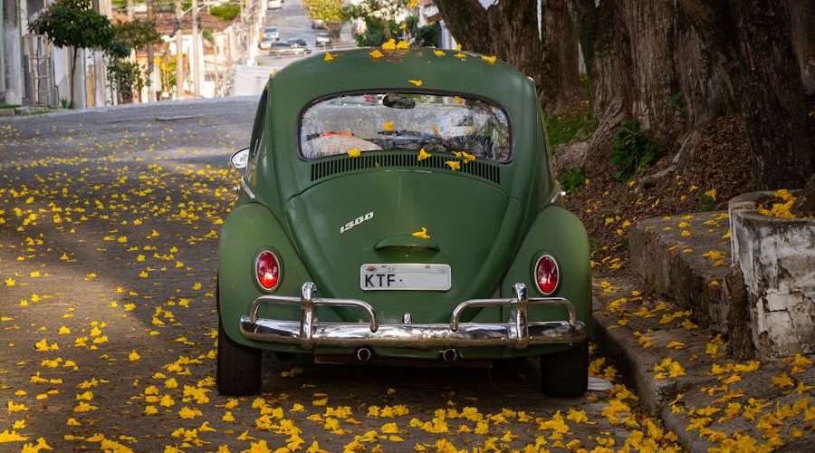 automobil prekriven jesenjim lišćem