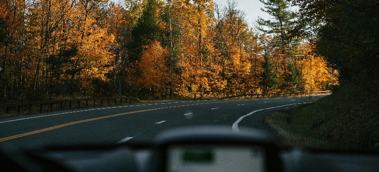 pogled iz automobila na jesenji put okružen šumom