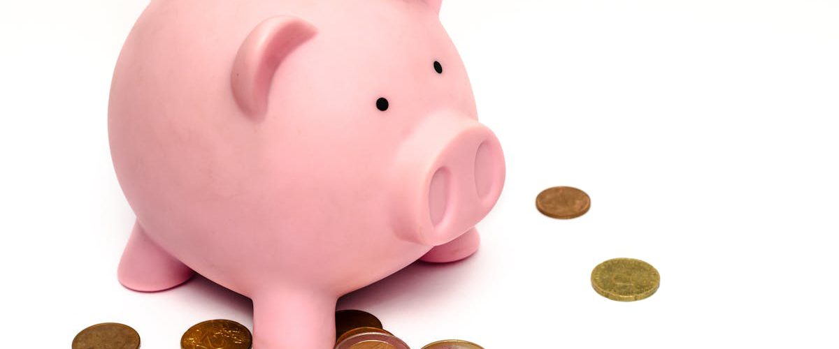 roze kasica sa novcem