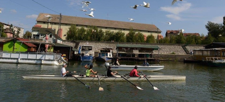 4 osobe veslaju na adi u beogradu 