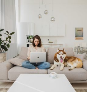 zena za kompjuterom pretrazuje kako opremiti mali stan