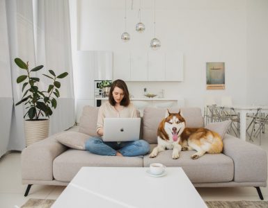 zena za kompjuterom pretrazuje kako opremiti mali stan