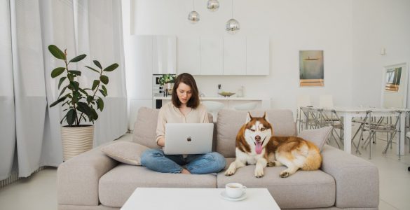zena za kompjuterom pretrazuje kako opremiti mali stan
